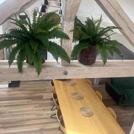 Attic Appart Stary Toruń Dış mekan fotoğraf