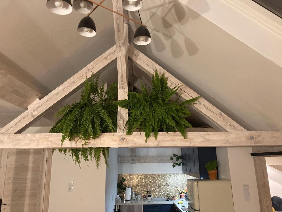 Attic Appart Stary Toruń Dış mekan fotoğraf