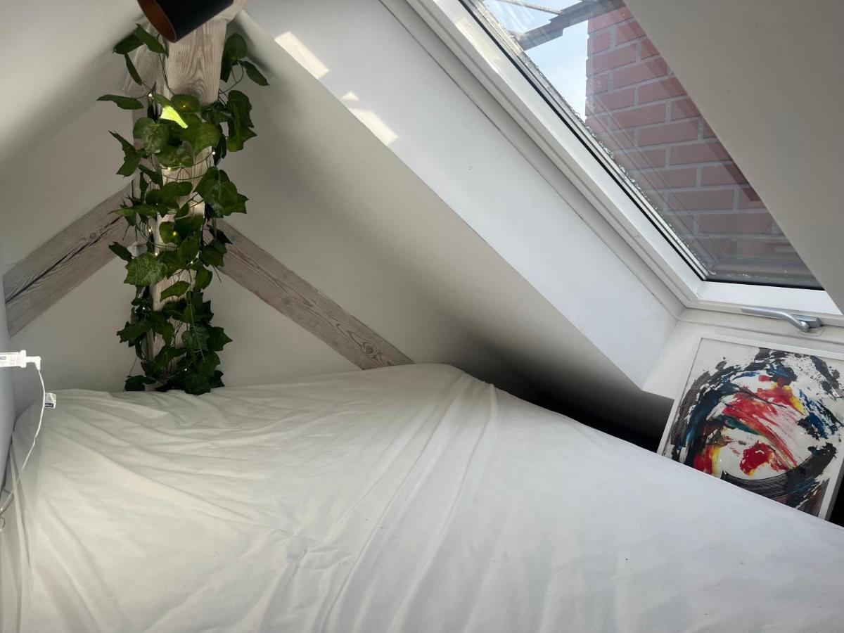 Attic Appart Stary Toruń Dış mekan fotoğraf