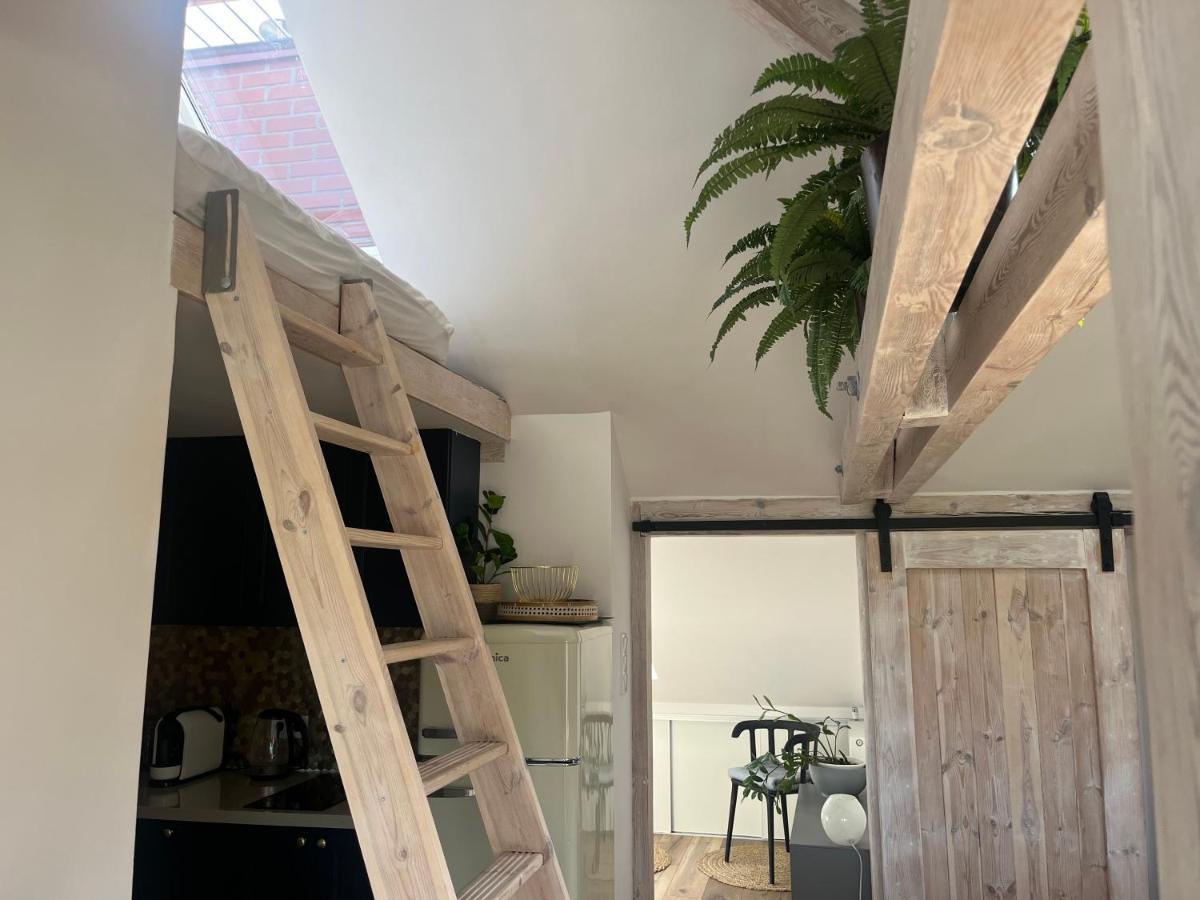 Attic Appart Stary Toruń Dış mekan fotoğraf